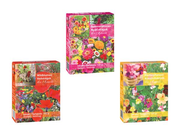 Mélange de fleurs d'été et sauvages