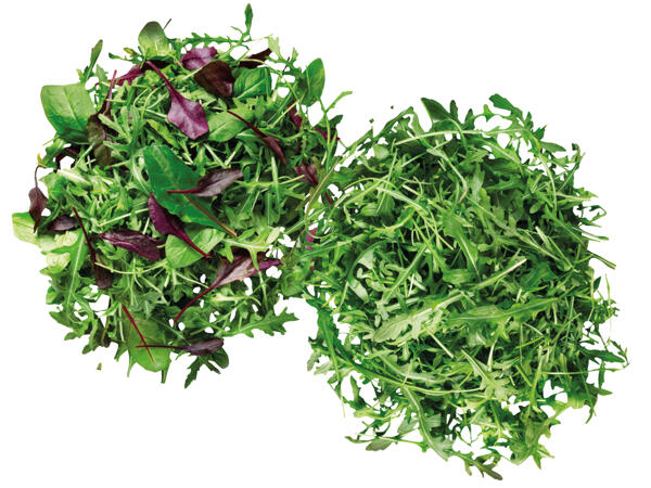 Mix Salat oder Rucola