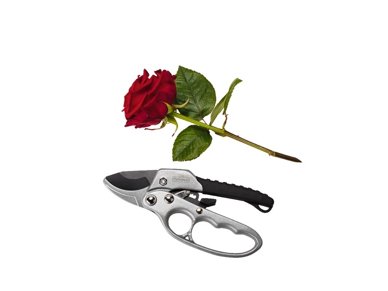 Ratchet Secateur