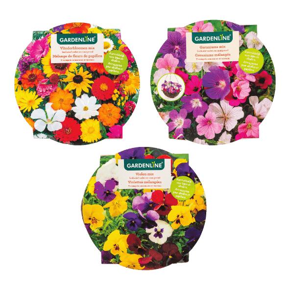 GARDENLINE(R) 				Assortiment de semences avec panier suspendu