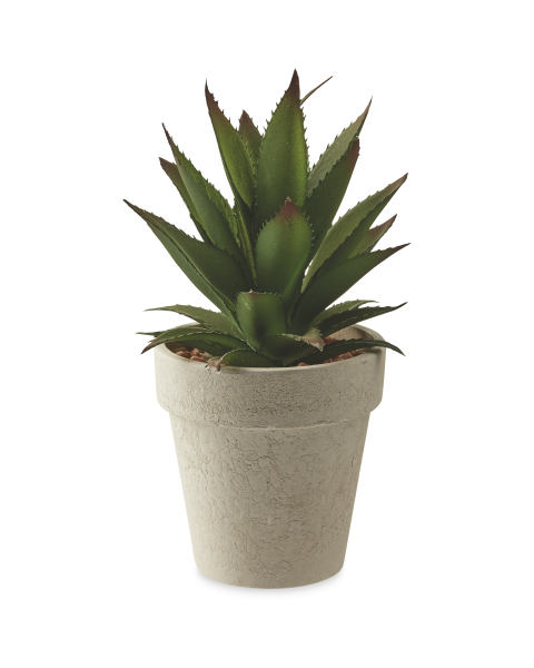 Artificial Aloe Vera Cream Pot