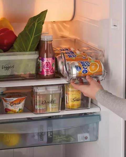 Fridge Tray Assortment