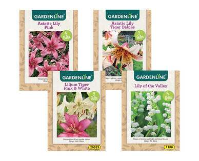 Packet Bulbs