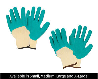 Winter or Rose Garden Gloves
