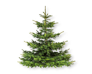 Albero di Natale