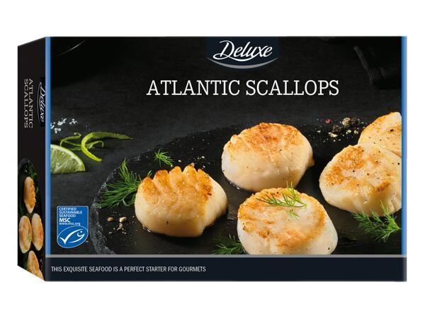 Atlantic Scallops