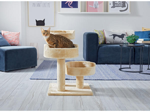 Cat Scratching Post