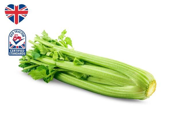 British Celery