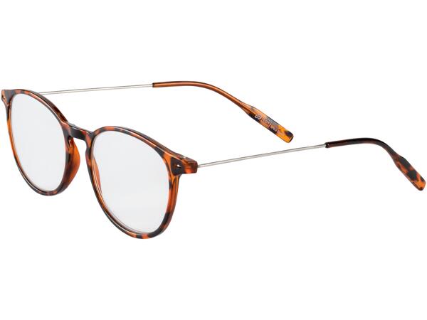 Reading Glasses