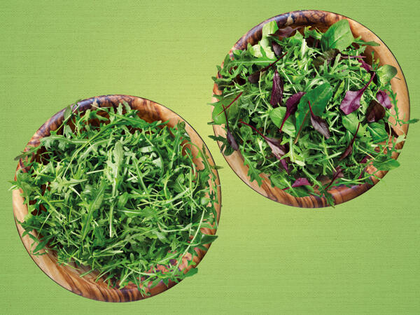 Mix-Salat oder Rucola