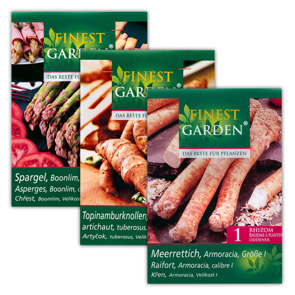Zwiebeln für den Gemüsegarten