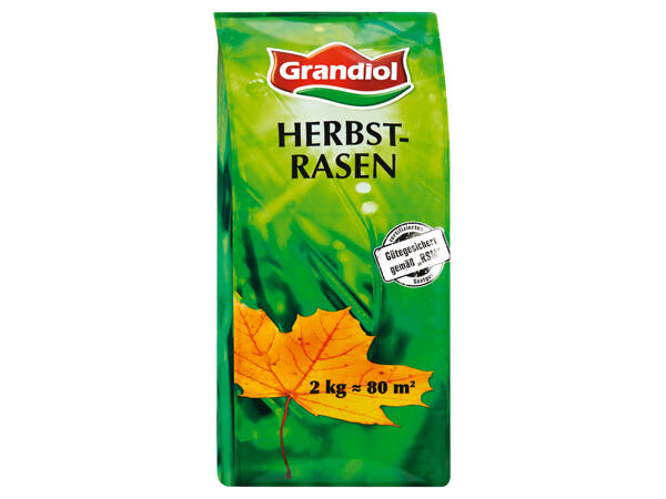 Herbstrasenmischung