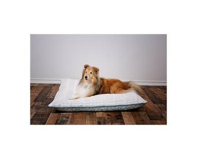 Heart to Tail Spring Pet Bed Assortment