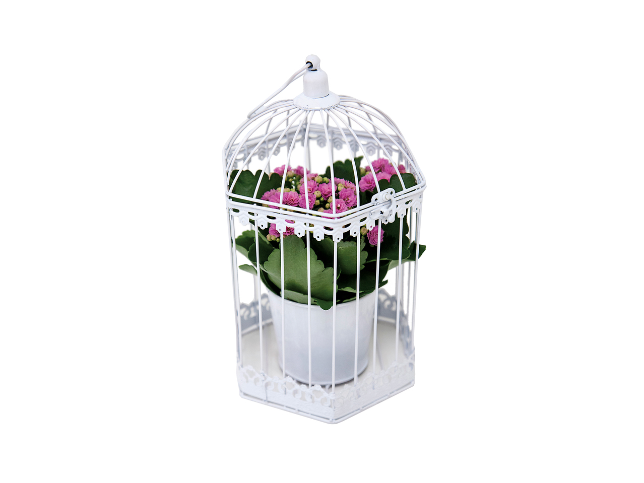 Birdcage Planter1