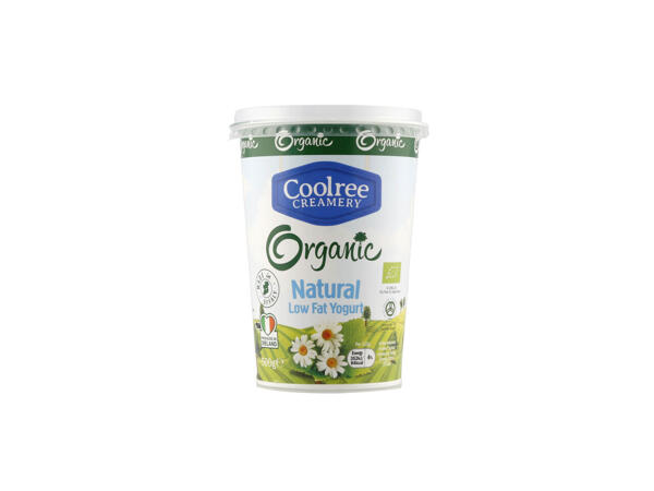 Organic Natural Low Fat Yogurt