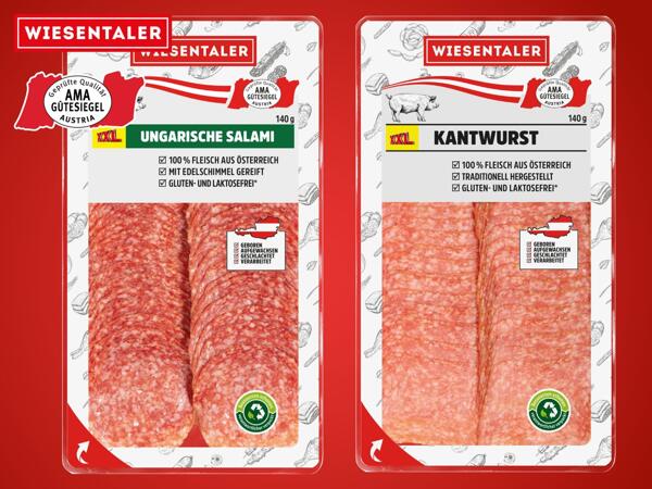 Ungarische Salami oder Kantwurst