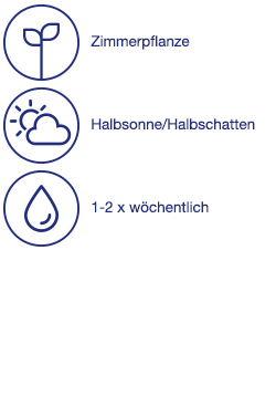 Pflanzenkomposition
