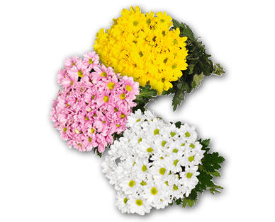 Chrysanthemen Strauss