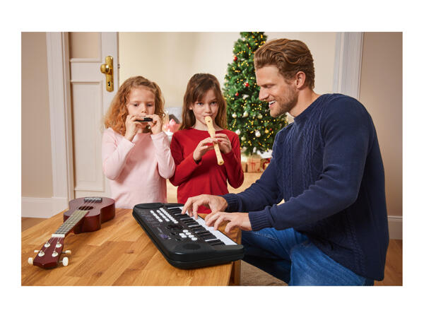 Harmonica
