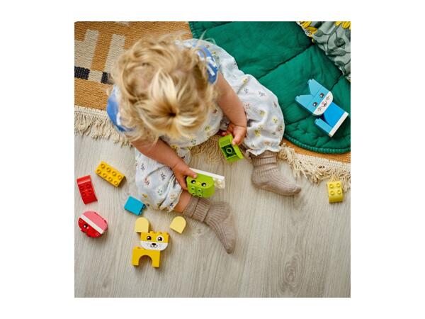 3 in 1 My First Creative Cute Pets Play Set