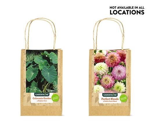 Gardenline 
 Sun or Shade Lovers Bulbs Assorted Varieties