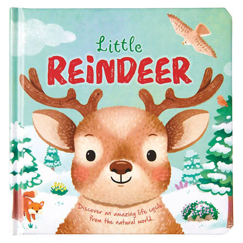 Christmas Board Book - The Little Reindeer