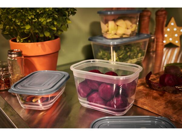 Food Storage Containers