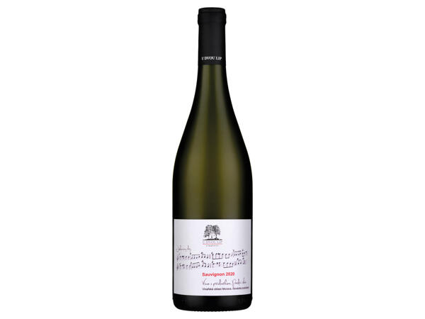 SAUVIGNON