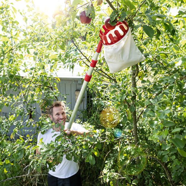 Teleskop-Obstpflücker