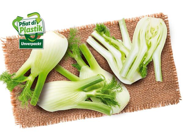 Fenchel