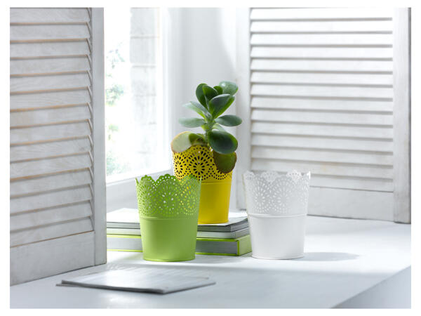 Plant Pots/ Plant Pot