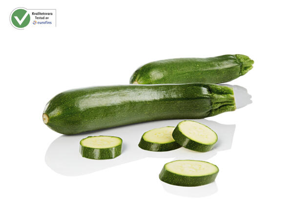 Zucchini
