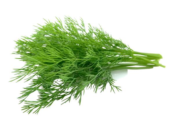 Dill