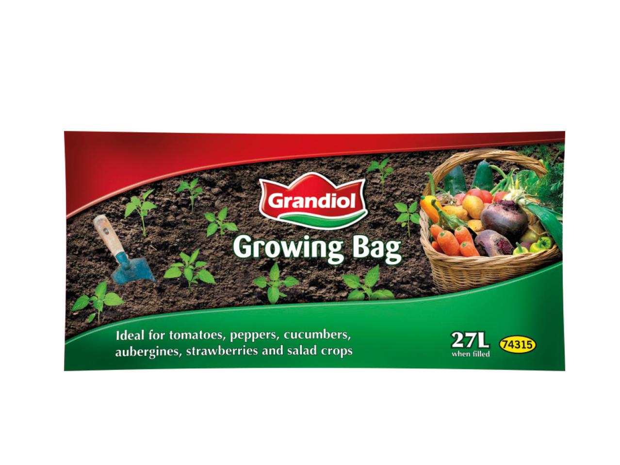 Grandiol Growbag1