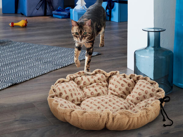 Bed or Tunnel for Cats
