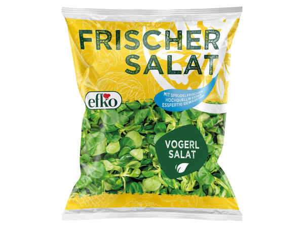 Efko Vogerlsalat