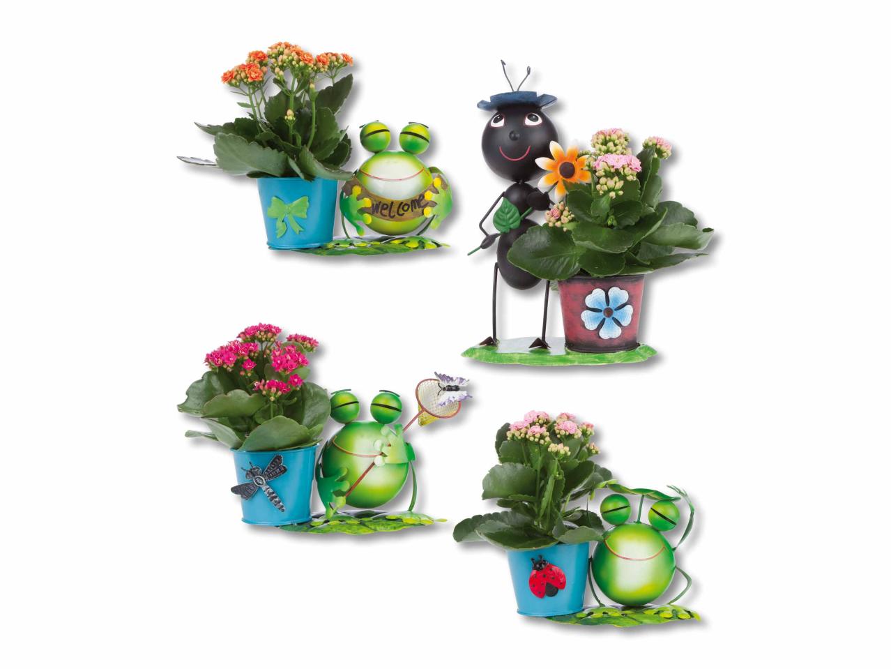 Figure in zinco con kalanchoe