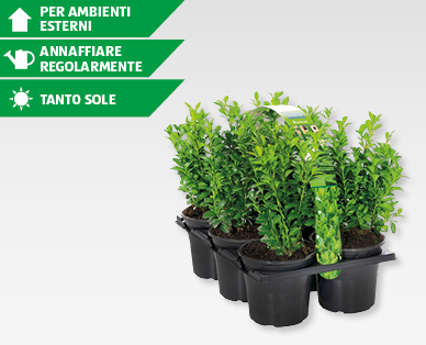 Bossi GARDENLINE(R)