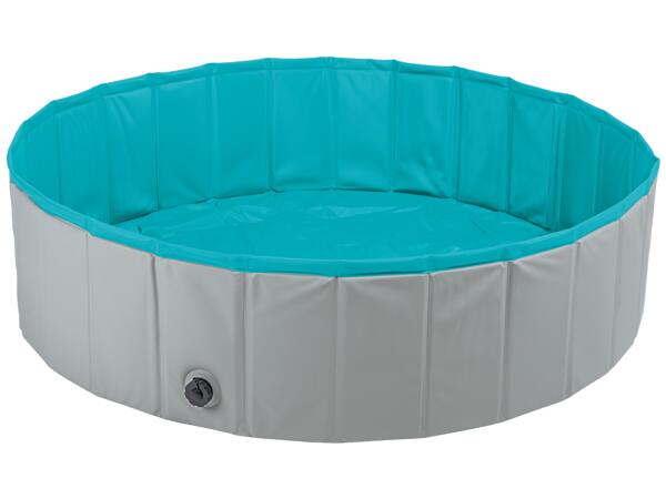 Dog Pool