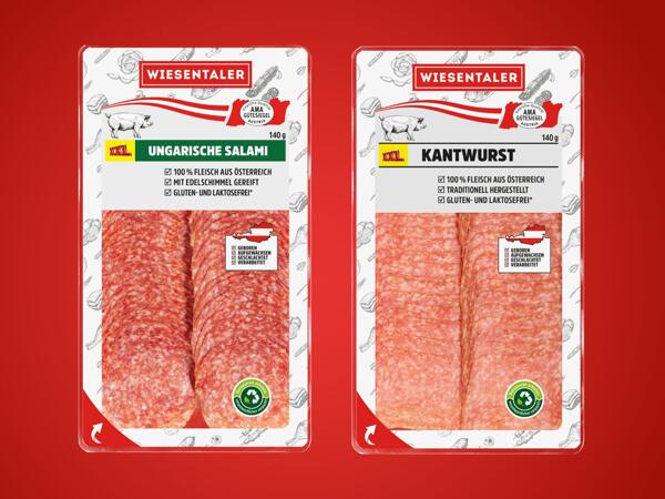 Ungarische Salami oder Kantwurst
