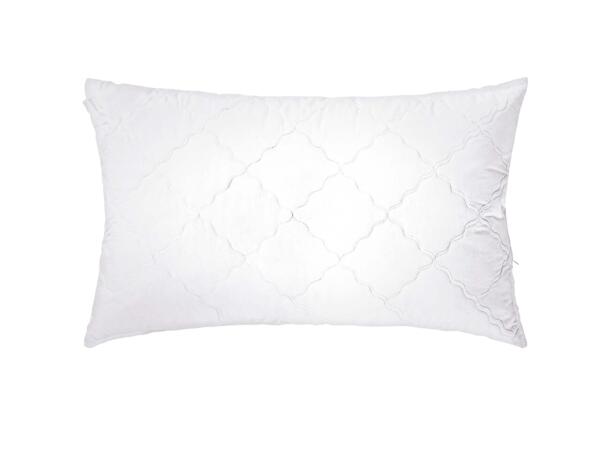 Anti-Allergy Pillow