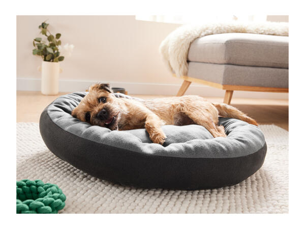 Zoofari Dog Bed