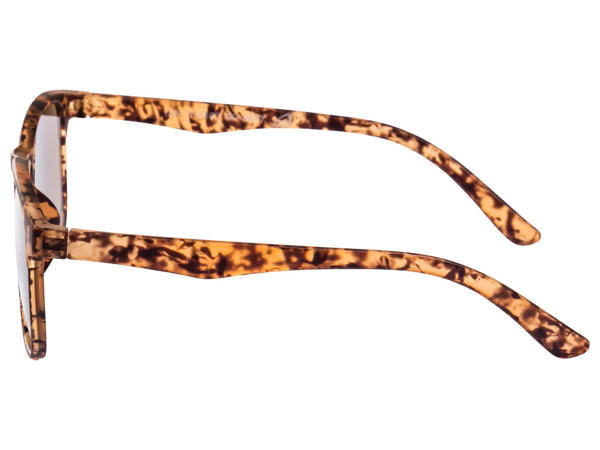 Reading Glasses with Tinted Lenses