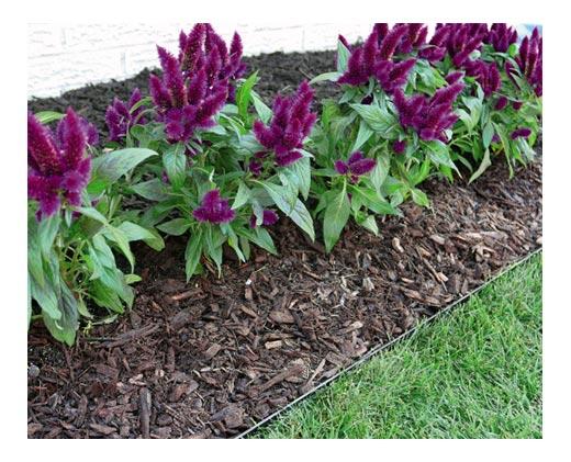 Gardenline 
 No-Dig Garden Edging