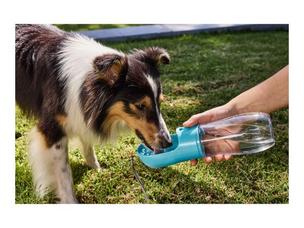 Zoofari Pet Travel Accessories