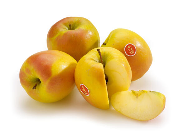 Pomme Rungis Gold