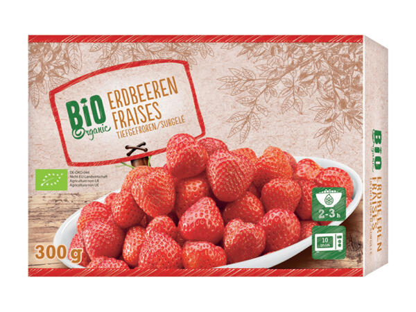 Bio Erdbeeren