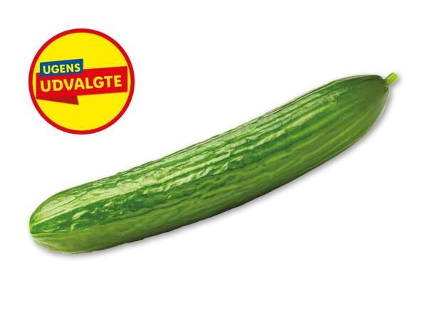 Agurk