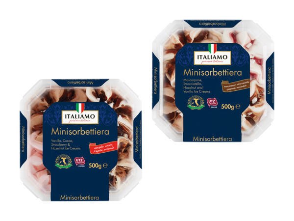 Glace minisorbettiera