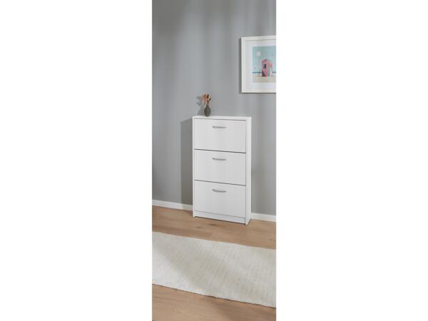 Shoe Cabinet